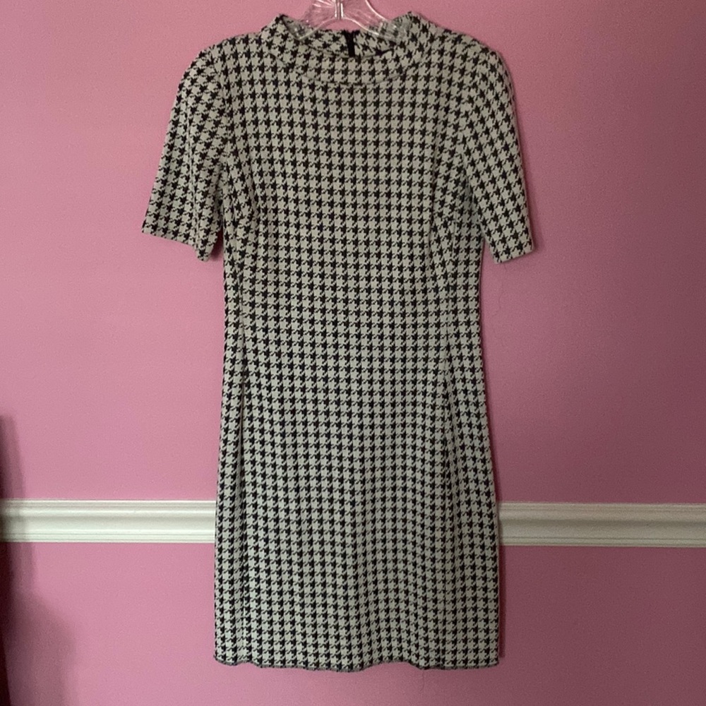 American Living + womens dress + size 4